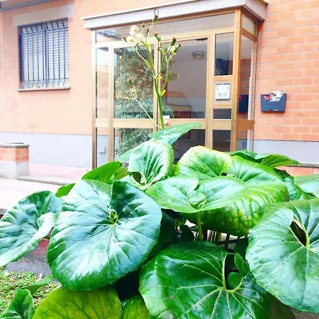 Carillon * Civitavecchia