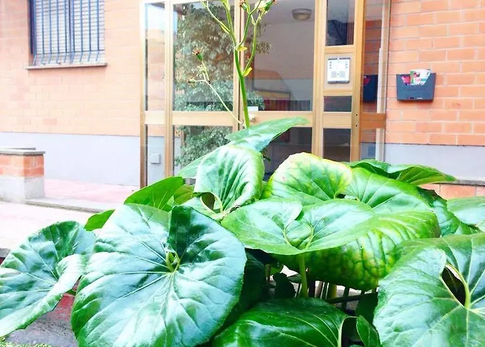 Carillon * Civitavecchia